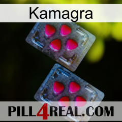 Kamagra 14